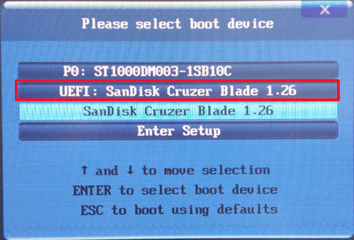 select uefi usb drive